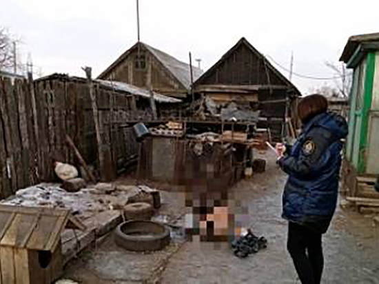 В Турках у собачьей будки нашли полуголого мужчину