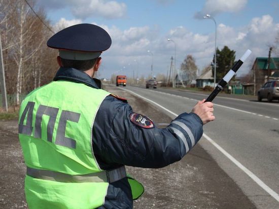 Рязанские госавтоинспекторы призвали водителей быть внимательнее в праздники