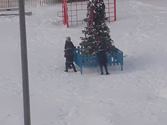Дети «обдирают» новогоднюю елку в Ноябрьске