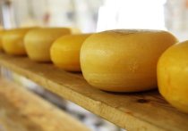 На молокоперерабатывающем заводе ООО «Сибирское подворье» производили сыр из просроченного сырья