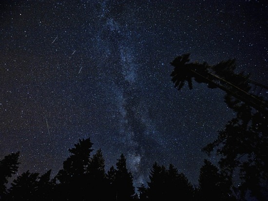 Астрономы рассказали о красивом звездопаде в ночь на 4 января