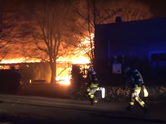 Обезьяны заживо сгорели в немецком зоопарке из-за китайских фонариков