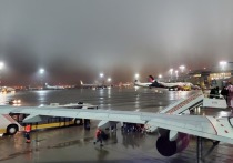 В субботу, 4 января, утром самолет Airbus-320 авиакомпании Red Wings, на борту которого было 180 пассажиров и шесть членов экипажа, следовавший из Тюмени в Санкт-Петербург, экстренно сел в Перми