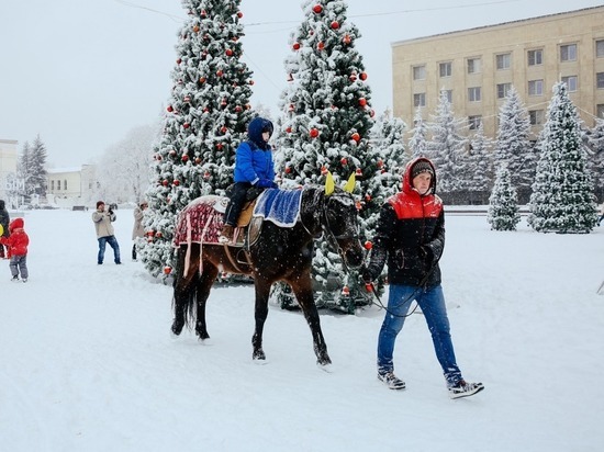 Рождественского гуся разыграют на главной площади в Ставрополе