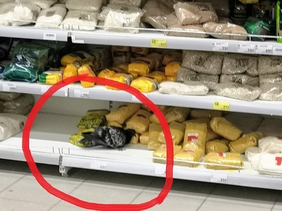 Супермаркет в Рыбинске разводит голубей