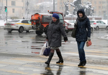 Начало января стало аномально теплым не только в Москве и ее
окрестностях, но и почти по всей России