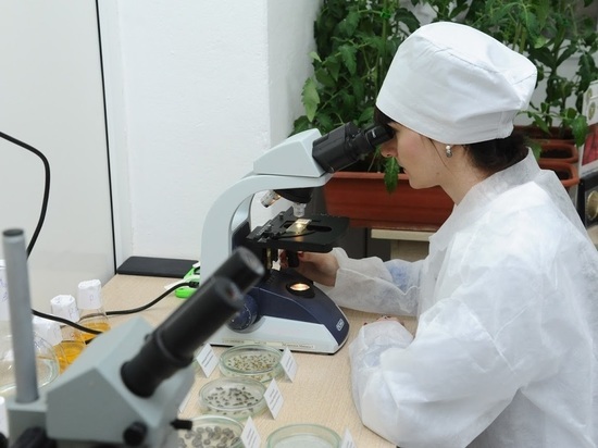 В Волгоградской области развивают научно-техническую деятельность