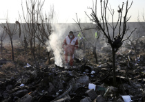 Крушение Боинга-737 украинской авиакомпании в Иране уже назвали крупнейшей авиакатастрофой в истории Украины
