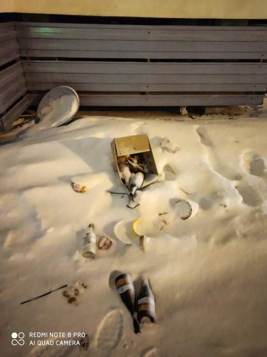 Ящик с алкоголем выбросили из окна многоквартирника в Салехарде