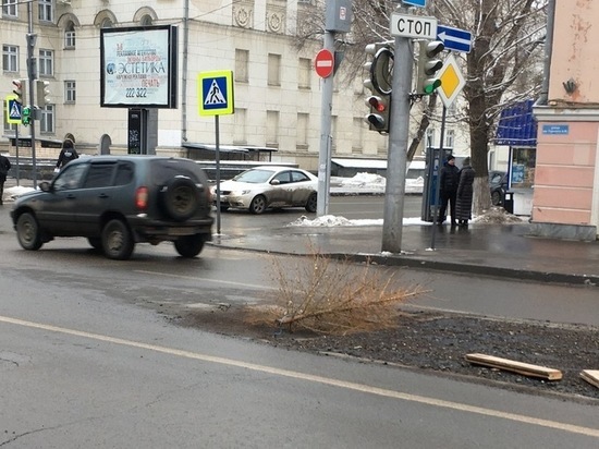 Отремонтированную дорогу огородили новогодними елками