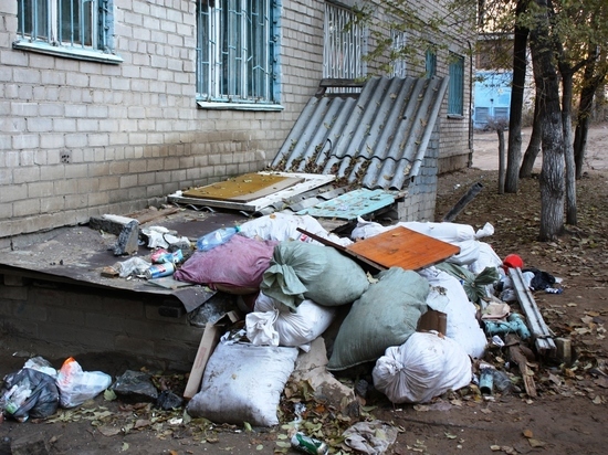 Читинцам рассказали, как сообщать о незаконном выбросе отходов