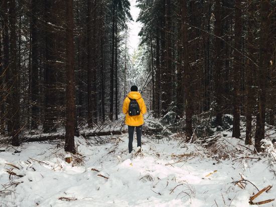 Филиал «Русский лес» приглашает всех желающих принять участие в традиционном конкурсе фотографий «Зимний русский лес».