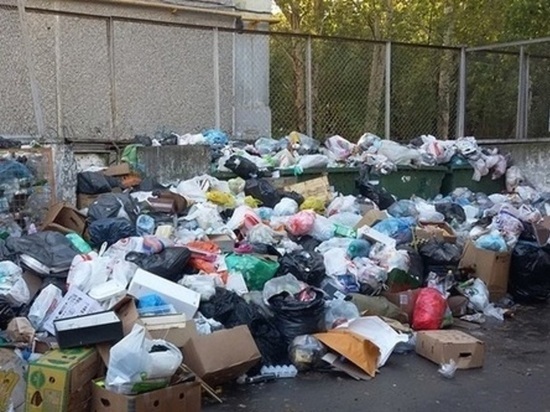 Первые итоги "мусорной реформы" в Курганской области: 150 жалоб