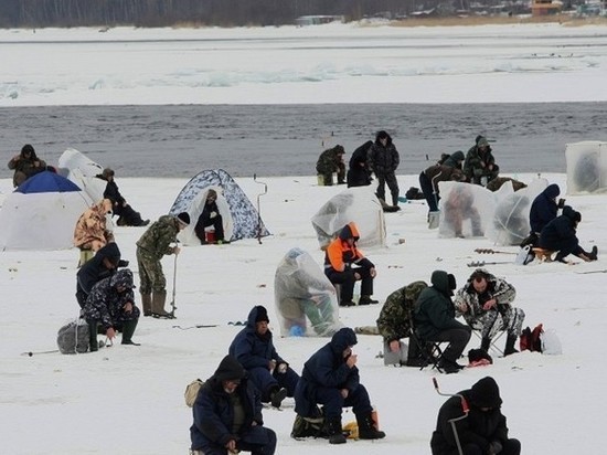 Сотня рыбаков с каракатами попали в водную ловушку на Белом море