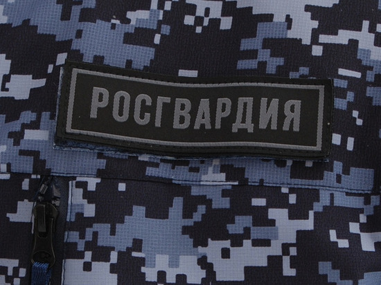 В Советске росгвардейцы задержали вероятного грабителя