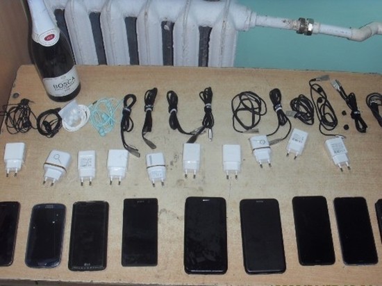 В одной из исправительных колоний Ивановской области предотвращена попытка проноса к заключенным мобильных телефонов