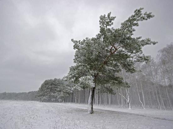 В Челябинской области до -6, местами снег, гололедица, сильный ветер