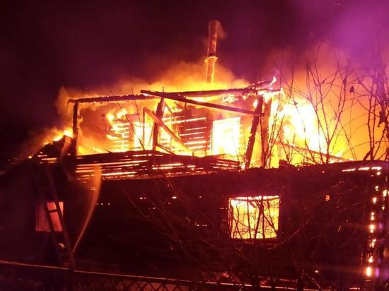 В Челябинской области на пожарах в прошлом году погибли 220 человек