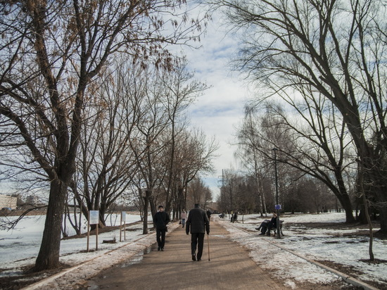 Зима без градуса: как жителю Твери пережить аномально теплый январь