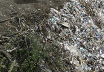 В ближайшие годы некоторые регионы страны завалит мусором