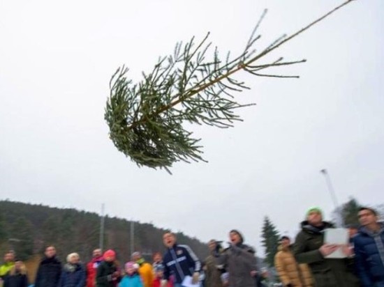 В Рязани устроят «Метание новогодних елок»