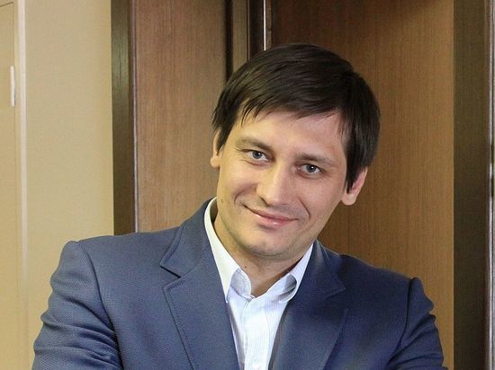 Деятельность партии Дмитрия Гудкова приостановлена судом на 3 месяца