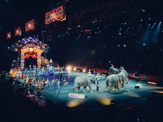 Карельские общественники собрали шесть тысяч подписей за запрет в республике цирков