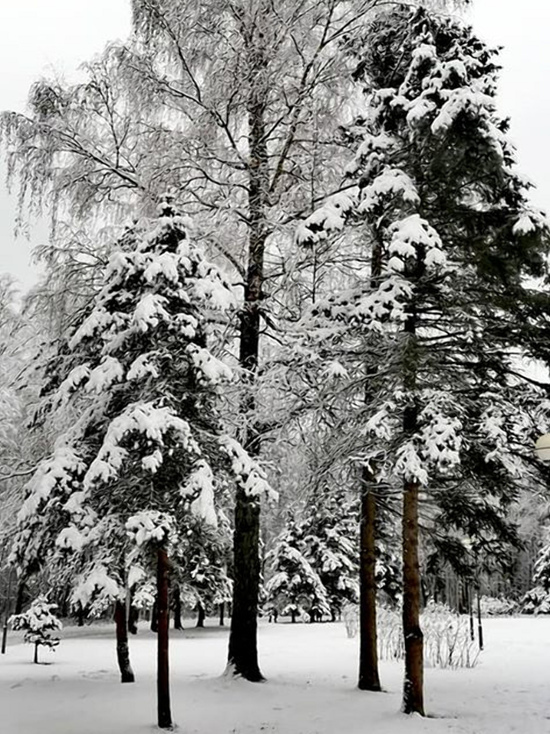Погода в Смоленской области на четверг, ждать ли зимы?