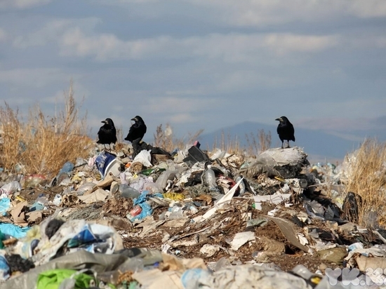 За свалку отходов на сельхозземлях на 400 тыс. оштрафовали ИрГАУ