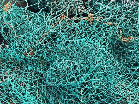 За полтонны незаконного улова рыбаки на Кубани могут получить до пяти лет тюрьмы