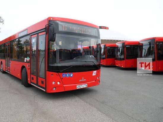 В Казани наказали водителя автобуса за разговор по телефону за рулём