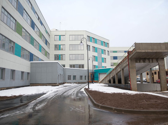 Чиновник: Псковский роддом обнесен забором из соображений безопасности