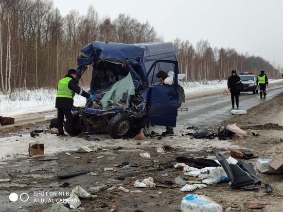 Водитель фургона погиб при столкновении с грузовиком в Чувашии