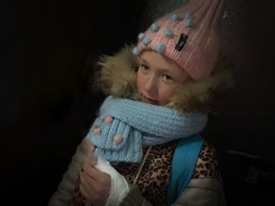 Пропавшую в Новосибирской области девочку нашли без сознания