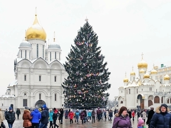 Главную российскую новогоднюю елку отправили на переработку