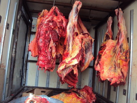 В Абакане чуть не продали 240 кг опасного говяжьего мяса