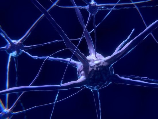 У шизофреников обнаружили недостаток белка в синапсах