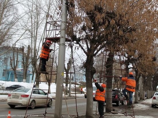 В Рязани ликвидировали аварийные деревья
