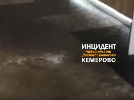 Кемеровчане сняли на видео потоп в одном из крупных ТЦ города