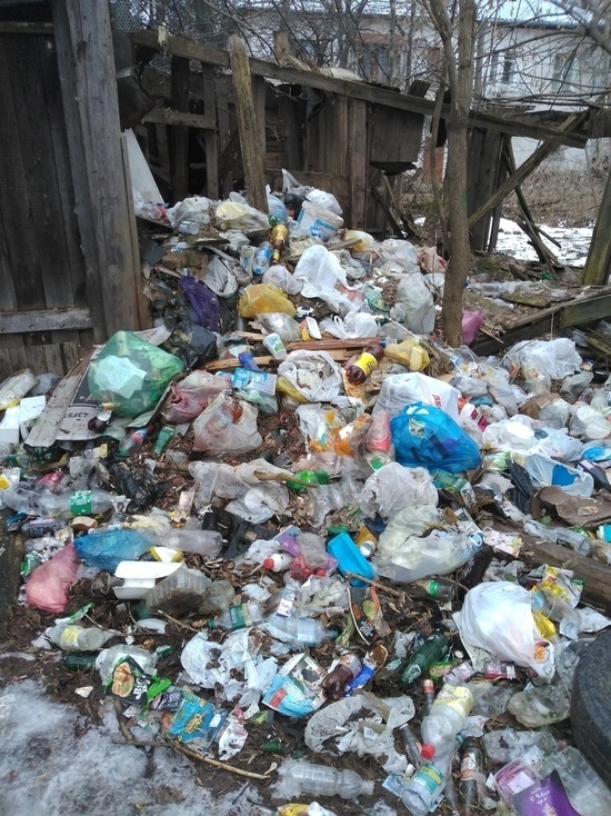 Кто виноват в мусорных проблемах Костромы- власти или горожане