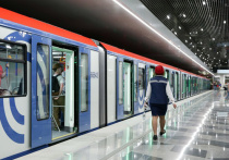 Часть Некрасовской линии метро закроют в конце марта на несколько дней