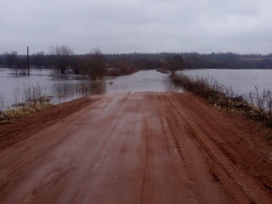 Зимний паводок отрезал деревню Славково в Ленобласти от большой земли