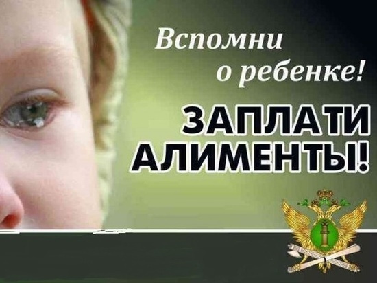 Жительница Ярославской области задолжала детям миллион