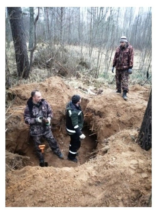 В Пыталовском районе нашли останки жителей, убитых фашистами