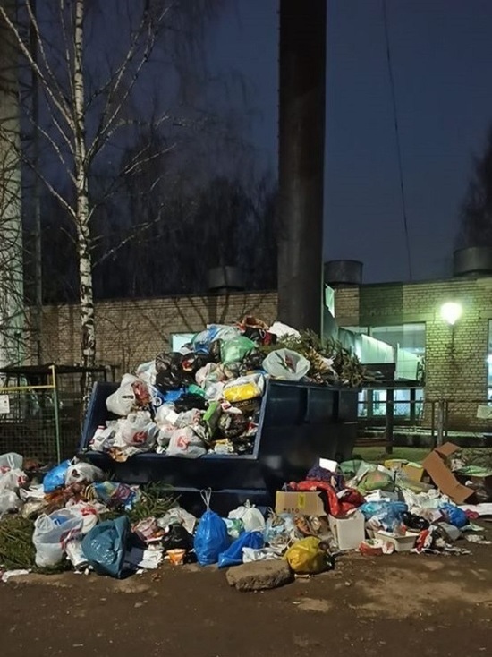 Жители псковского двора: Мусор уже вываливается из контейнера