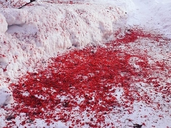 В Белове выпал красный снег