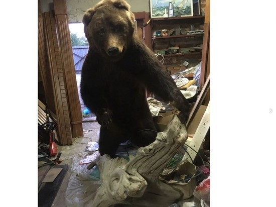 Туляк продает чучело медведя за 50 тысяч рублей