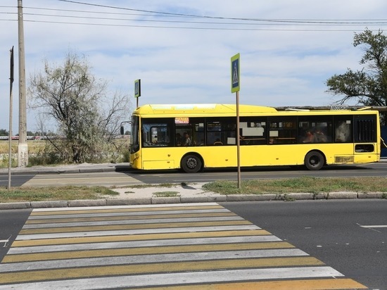 Пассажиры из Камышина в Волгоград будут ездить на 24 частных автобусах