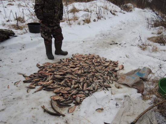 Чувашские полицейские задержали браконьеров, поймавших около 700 рыб