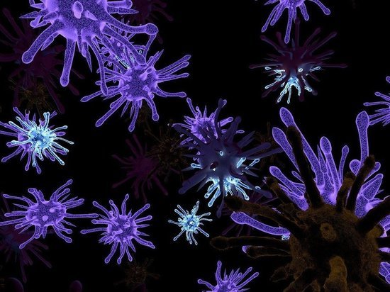 Туляков предупредили об опасном коронавирусе